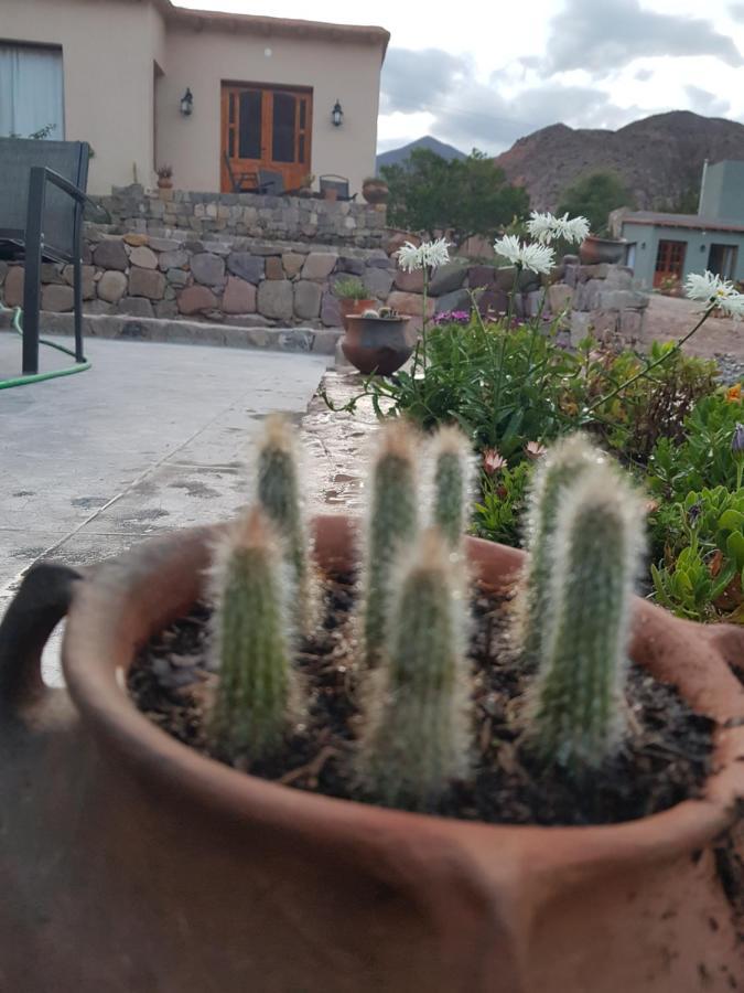 蒂尔卡拉Tierra Primitiva公寓 外观 照片